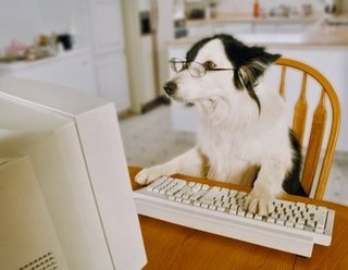perro-ordenador.jpg